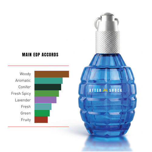 AFTERSHOCK ICEFOX (100ML)